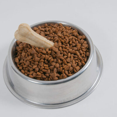 Effective Tips to Improve Your Dog’s Diet