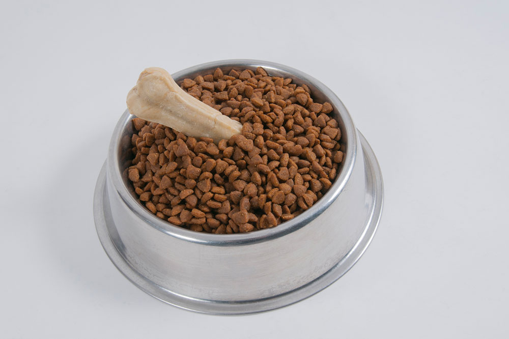 Effective Tips to Improve Your Dog’s Diet