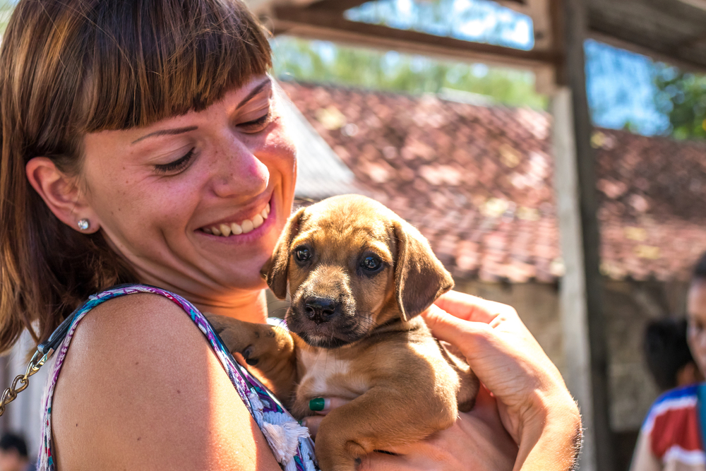 The Benefits of Adopting or Rescuing a Puppy